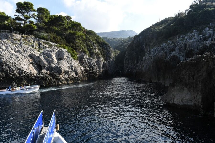 From Sorrento: Day Trip to Capri with Blue Grotto - Budget reality: $88 is the base, but add-ons matter