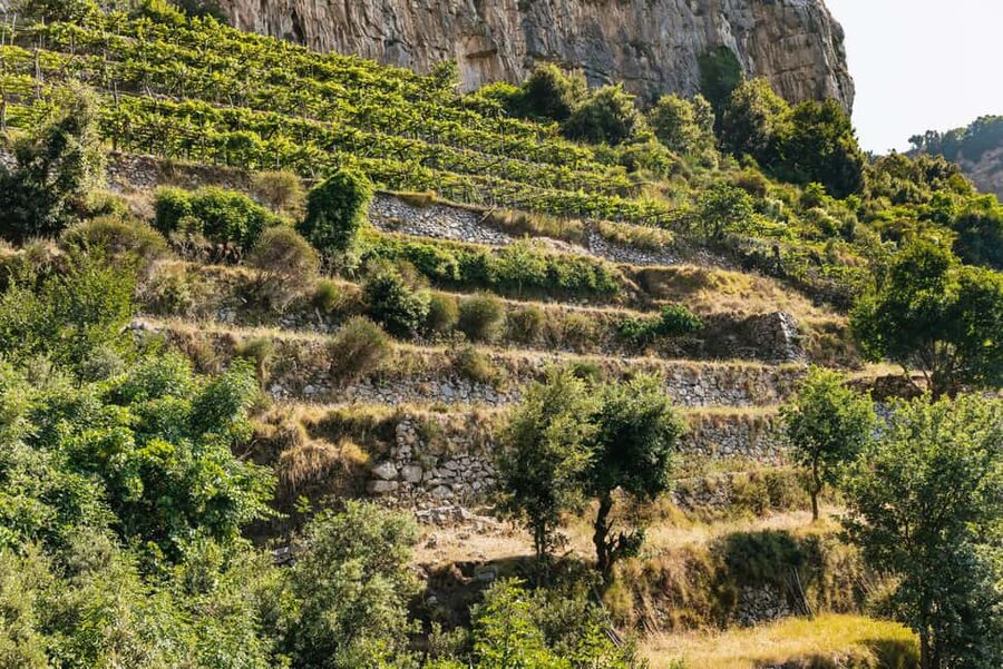 From Sorrento: Path of the Gods Guided Hike with Transfers - Who should book this hike in Sorrento