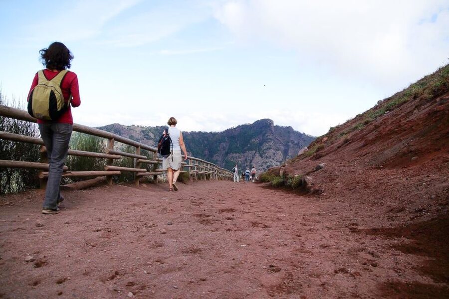 From Sorrento: Pompeii and Vesuvius Tour - Lunch and Money: What Not Included Means for Your Real Day