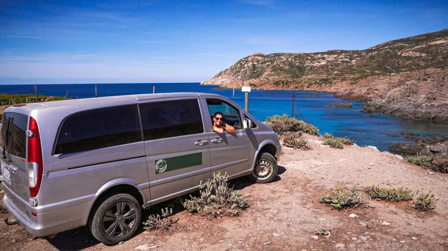 From Stintino: Asinara minivan tour - Wildlife spotting is the whole point, and guides matter