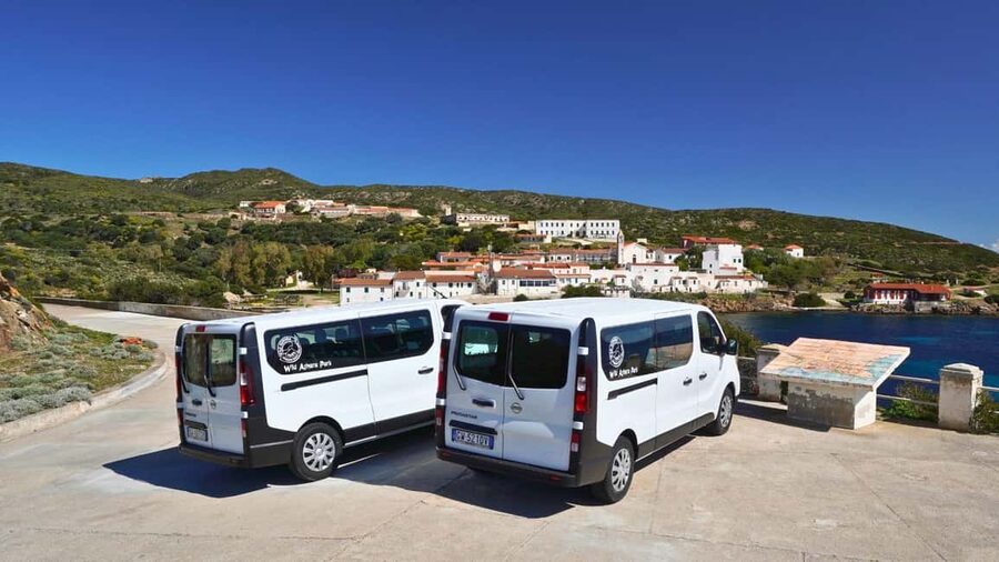 From Stintino: Asinara minivan tour - Asinara by minivan and ferry, what the day is really like