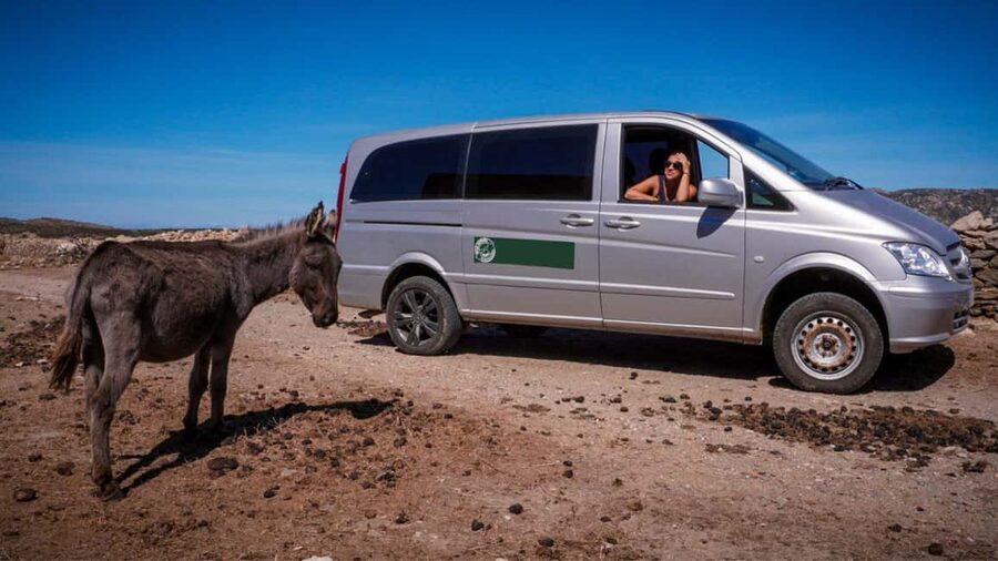 From Stintino: Asinara minivan tour - Riding Asinara’s rugged roads: penal-colony stops and quick photo moments