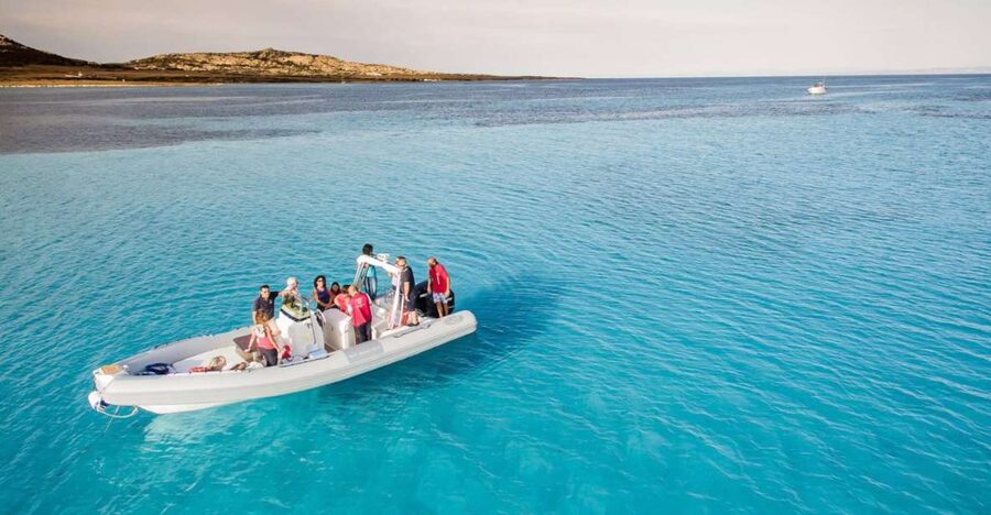 From Stintino: Half-day dinghy tour in Asinara Gulf - Asinara National Park by Dinghy: Why This Works