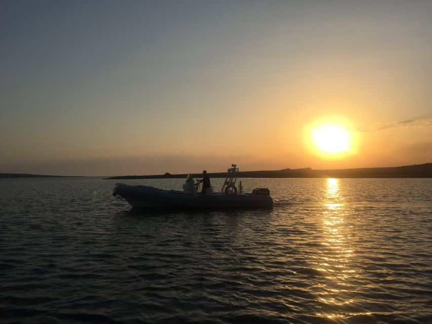 From Stintino: Half-day dinghy tour in Asinara Gulf - FAQ