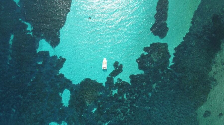 From Stintino: Half-day dinghy tour in Asinara Gulf - The Swim Stops Around Asinara Gulf: How the Route Adds Variety