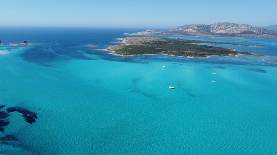 From Stintino: Half-day dinghy tour in Asinara Gulf - The Guide Factor: Nicolas, Nicolò, and the Difference It Makes
