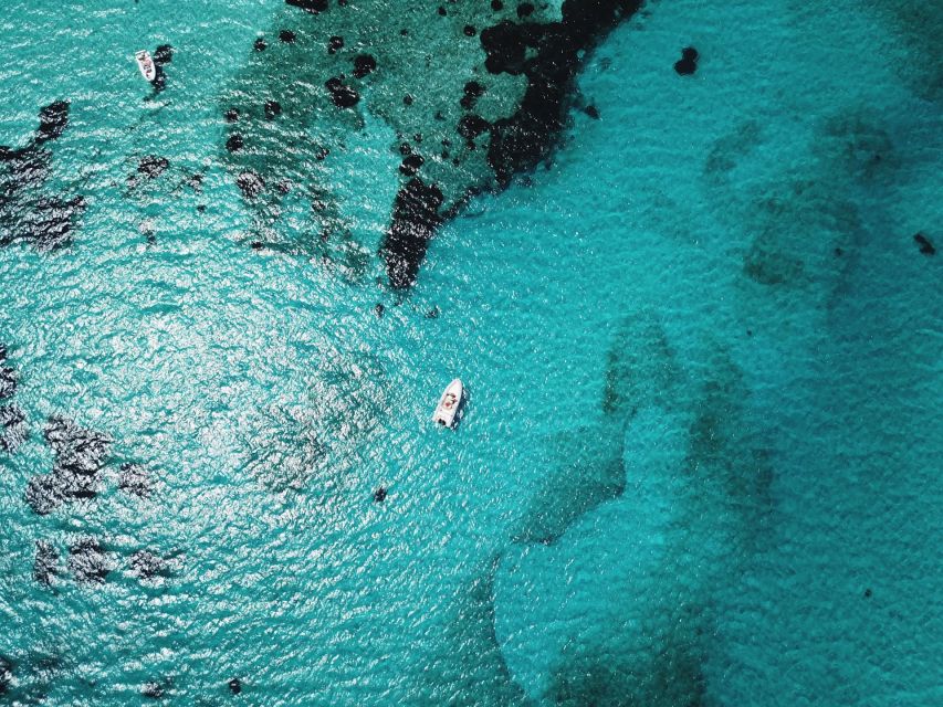 From Stintino: Half-day dinghy tour in Asinara Gulf - What to Bring, What Not to Bring, and Small Comfort Wins
