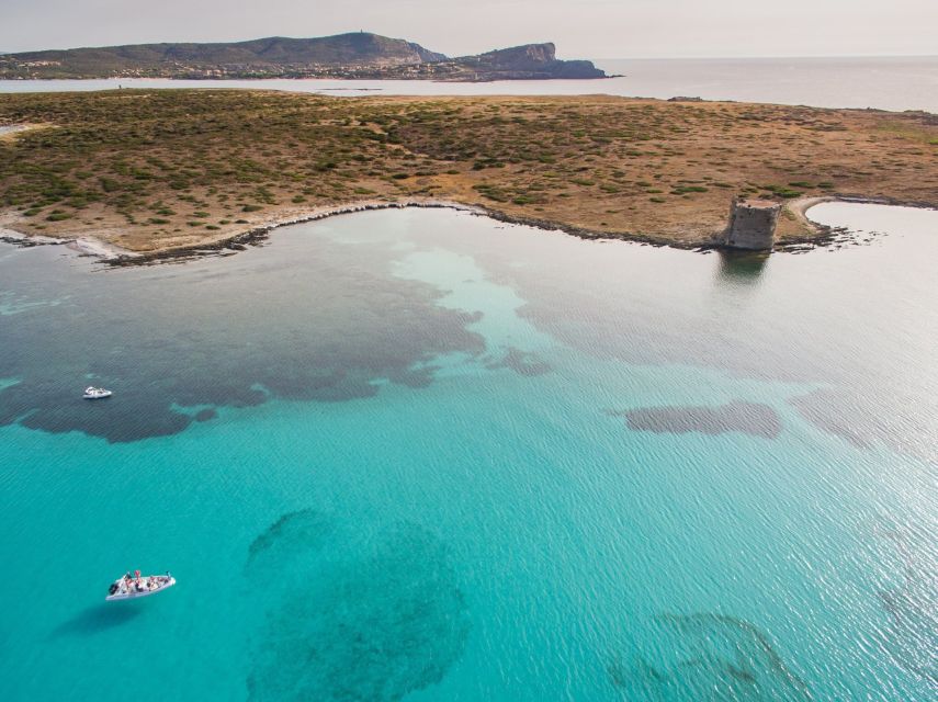 From Stintino: Half-day dinghy tour in Asinara Gulf - Should You Book This Asinara Gulf Half-Day Dinghy Tour?