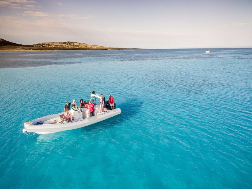 From Stintino: Half-day dinghy tour in Asinara Gulf - La Pelosa and the Tower: the Signature View From the Water