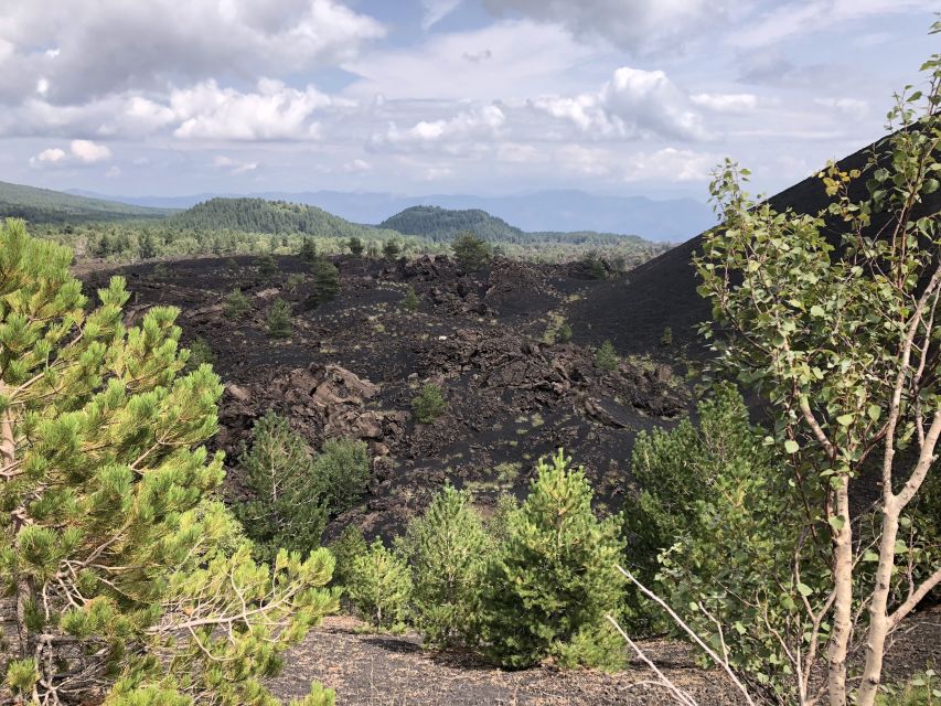 From Taormina: Full-Day Etna, Wine & Alcantara Canyons Tour - Price and value: what you get for about $116.68