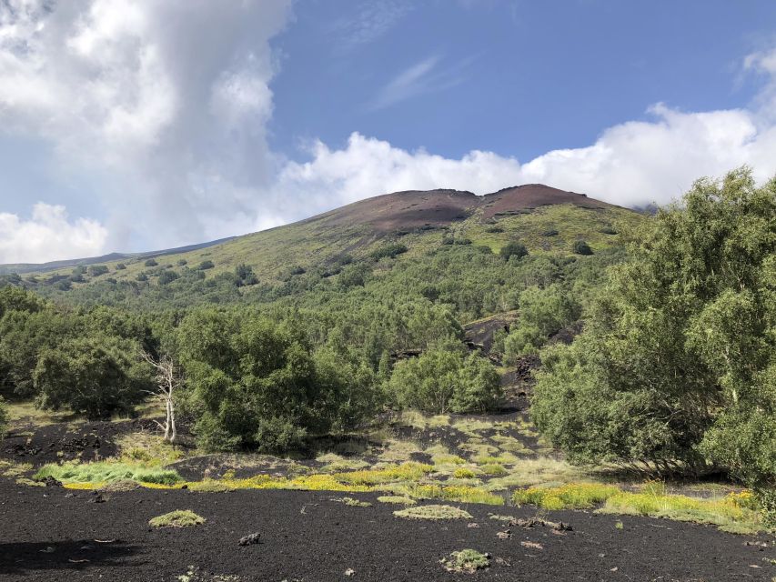 From Taormina: Full-Day Etna, Wine & Alcantara Canyons Tour - Who this tour suits best, and who should skip it