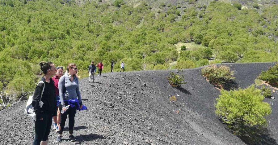 From Taormina: Half-Day Mount Etna Morning Trek - Mount Etna From Taormina, Without the Full-Day Burn