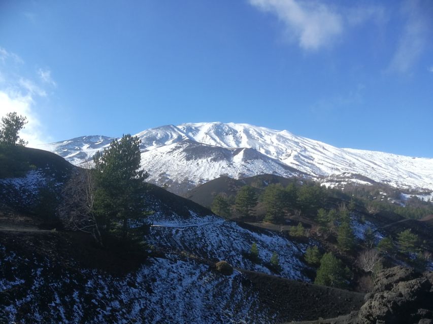 From Taormina: Half-Day Mount Etna Morning Trek - Who Should Book This Etna Half-Day Trek