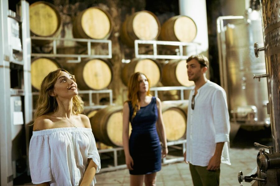 From Taormina: Mount Etna Food and Wine Tasting Tour - Who This Etna Food and Wine Tour Suits Best