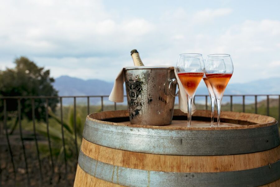 From Taormina: Mount Etna Food and Wine Tasting Tour - Should You Book This Taormina to Mount Etna Tour?