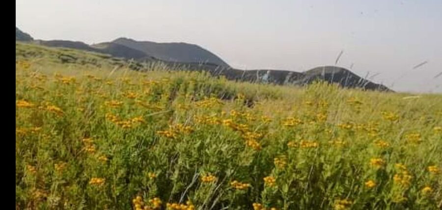 From Taormina, Naxos, & Letojanni: Mount Etna Half-Day Trip - The Drive Tells the Story: What You Notice on the Way Up