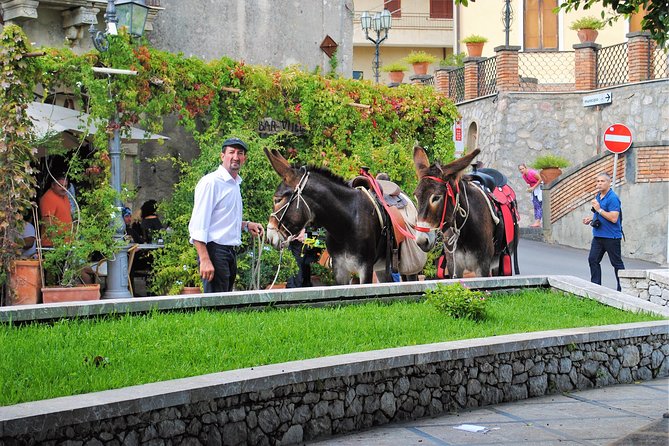 From Taormina: Private/Guided Godfather with appetizer and Pasta - Price and logistics: does $235.19 feel worth it?