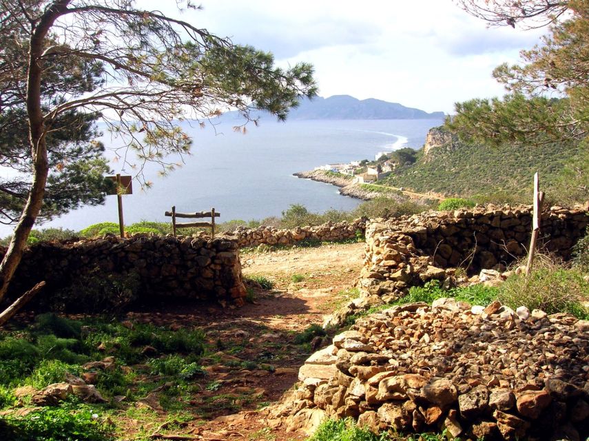 From Trapani: Cruise to Favignana and Levanzo with lunch - Timing, meeting point, and how to avoid the stress spiral