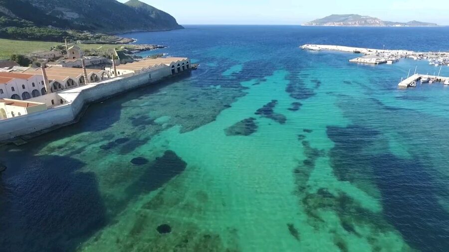 From Trapani: Day Cruise to Favignana & Levanzo with Lunch - From Trapani Harbour to Favignana: why the timing works