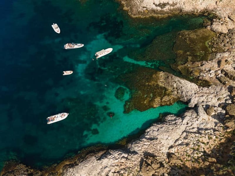 From Trapani: Egadi Islands Favignana & Levanzo Cruise - Cala Cold Beach (Cala Fredda): Marine Vegetation and Pebble Shore Swimming