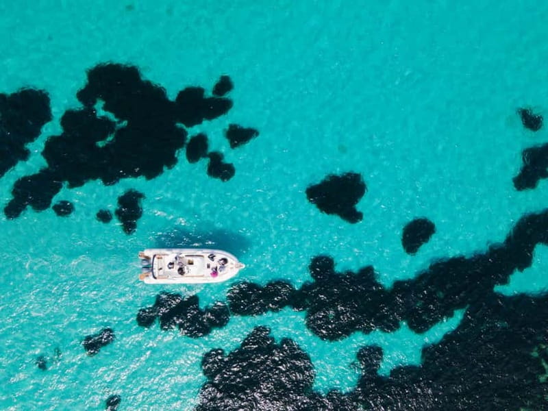 From Trapani: Egadi Islands Favignana & Levanzo Cruise - Why This Egadi Cruise Feels Better Than a Big-Boats Day