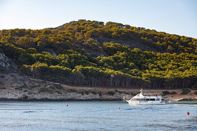 From Trapani: Egadi Islands tour with lunch on board - Service and Boat Experience: Friendly Crew vs. Crowding Reality
