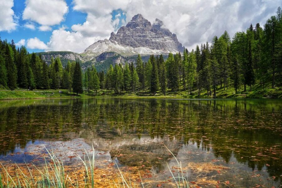 From Venice: Dolomites Day Trip - Piazzale Roma pickup: what to expect when you start