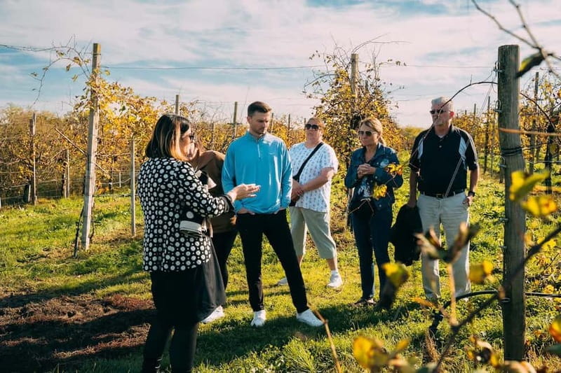 From Venice: Prosecco Hills and Wine Tasting Tour - Key things I’d circle on your map