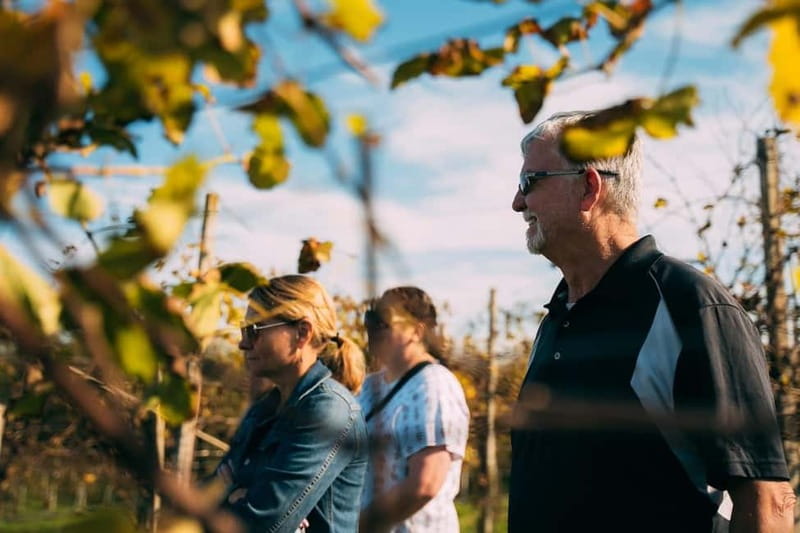 From Venice: Prosecco Hills and Wine Tasting Tour - Getting the timing right from Venice