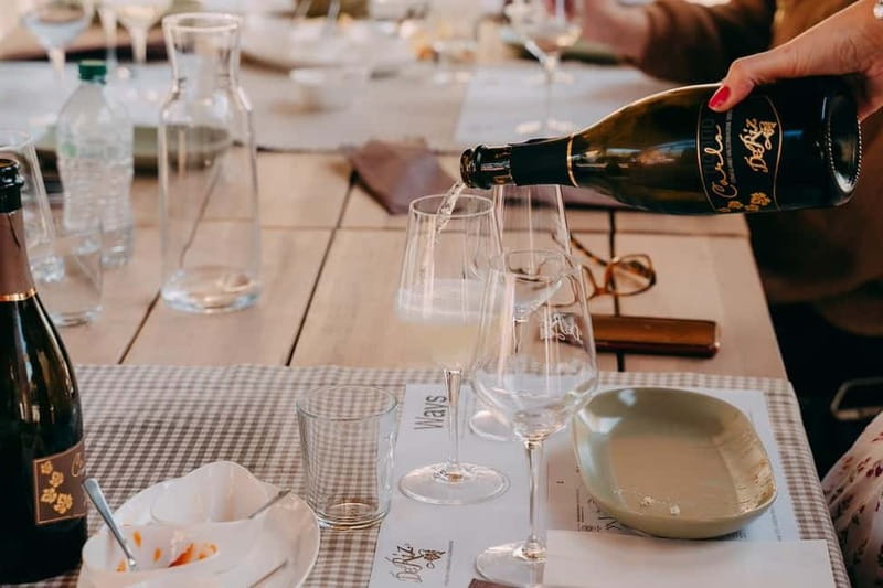 From Venice: Prosecco Hills and Wine Tasting Tour - Lunch and snacks: more than filler between bubbles