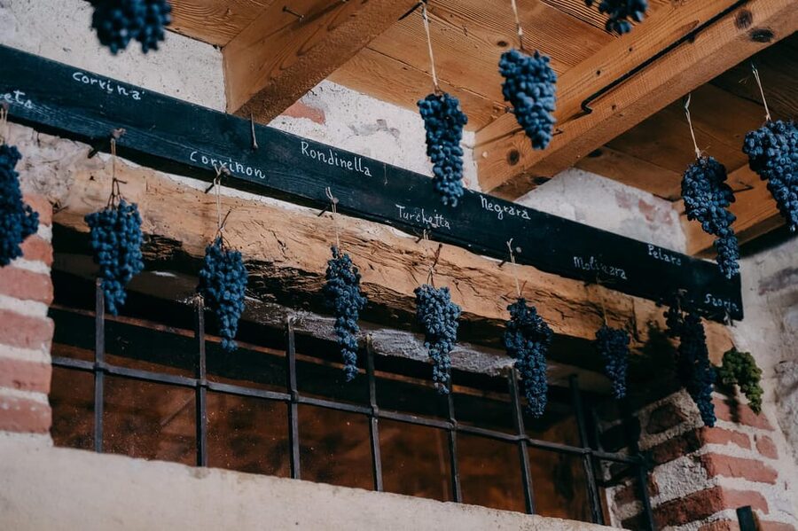 From Verona: Valpolicella and Amarone Wine Tasting Tour - Who should book this Valpolicella and Amarone tour