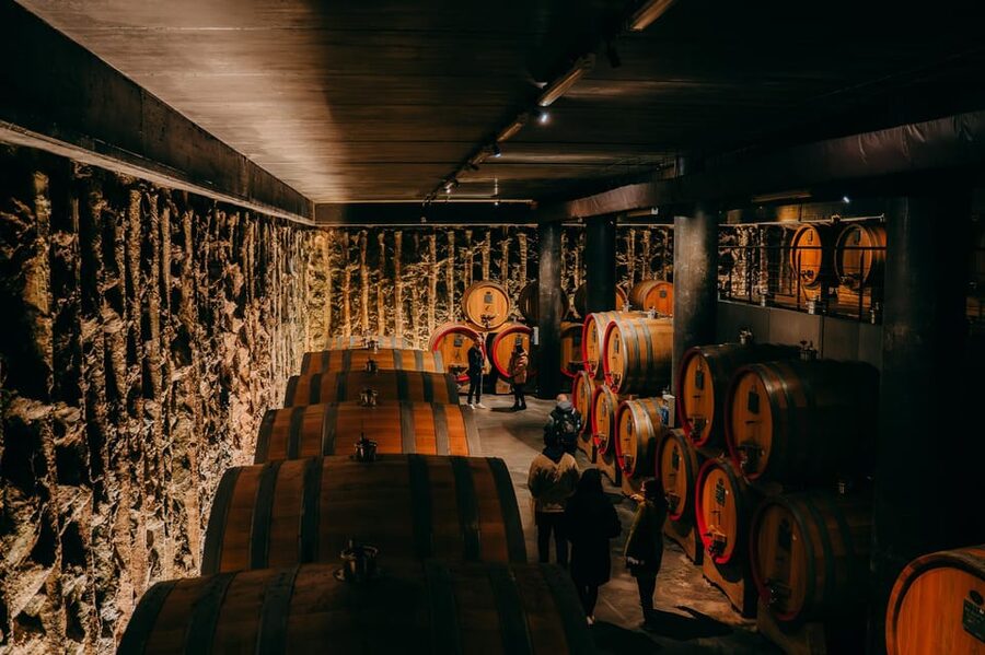 From Verona: Valpolicella and Amarone Wine Tasting Tour - Stop 1 in Valpolicella: cellar tour plus a serious tasting table