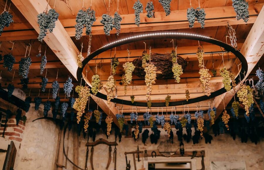 From Verona: Valpolicella and Amarone Wine Tasting Tour - Stop 2 in Valpolicella: a second winery with a useful contrast