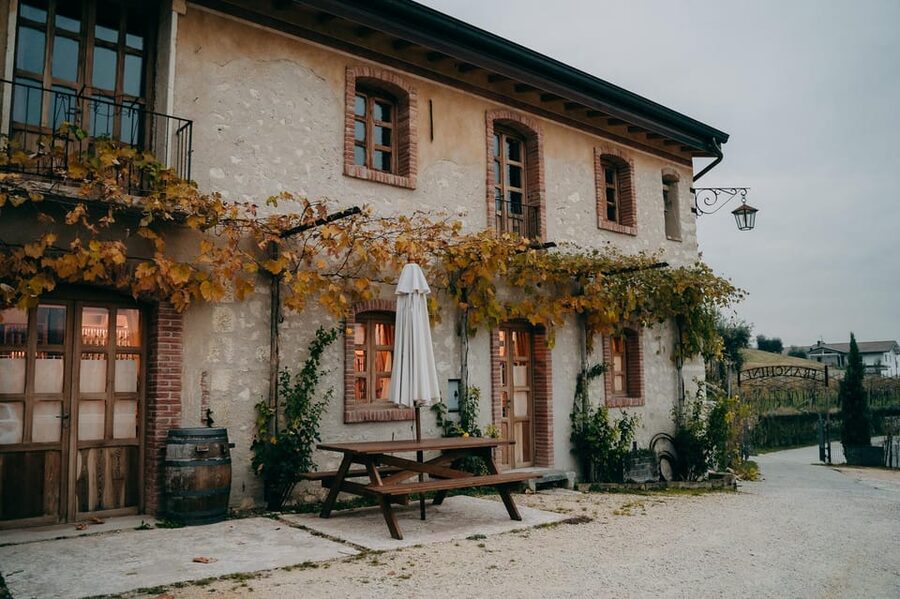 From Verona: Valpolicella and Amarone Wine Tasting Tour - The small group factor makes a real difference