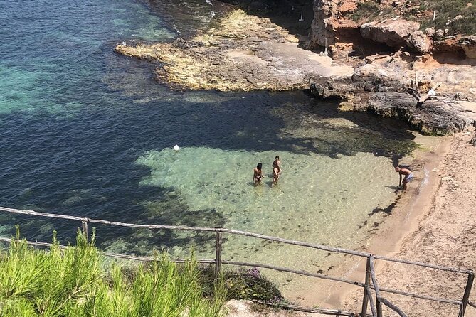 Full Day Tour by Car and Walking among the Apulian Beauties - Monopoli, 2 Hours of Sea-City Walking and Lunch Time