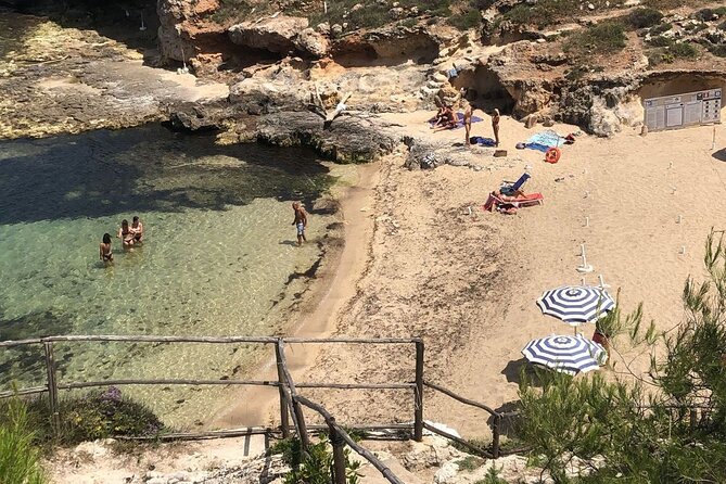 Full Day Tour by Car and Walking among the Apulian Beauties - Timing, Weather, and How to Protect Your Day