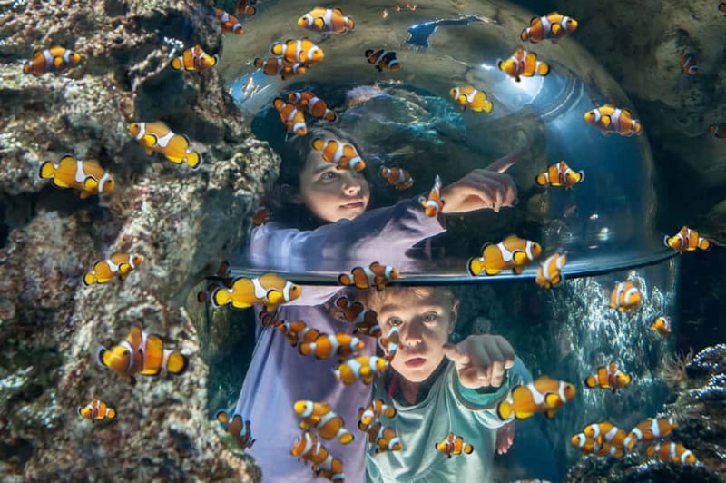 Gardaland SEA LIFE Aquarium: Open Date Entry Ticket - Key highlights to know before you go