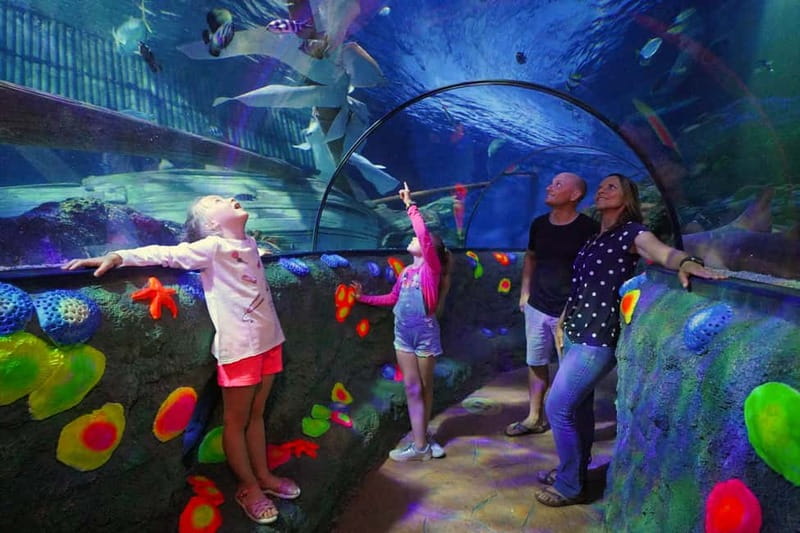 Gardaland SEA LIFE Aquarium: Open Date Entry Ticket - The transparent tunnel experience that makes everything click
