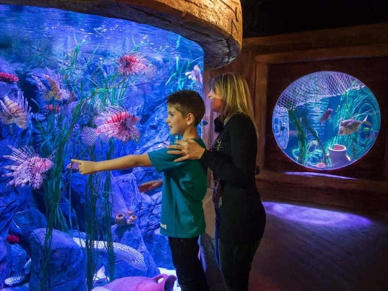Gardaland SEA LIFE Aquarium: Open Date Entry Ticket - Getting there from Peschiera del Garda: the shuttle helps