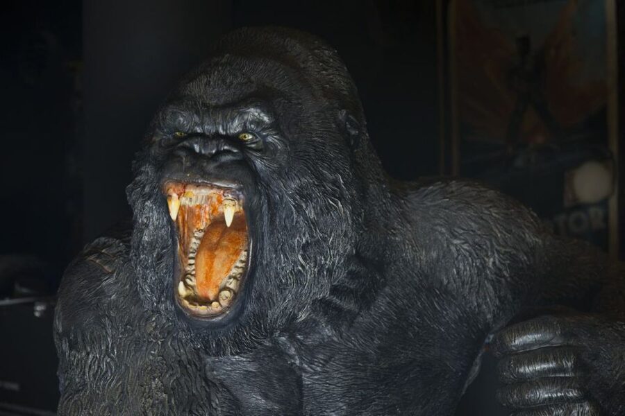 Genoa: Aquarium and FantaCinema Combined Ticket - Price and Value: Does $38 Get You Enough?