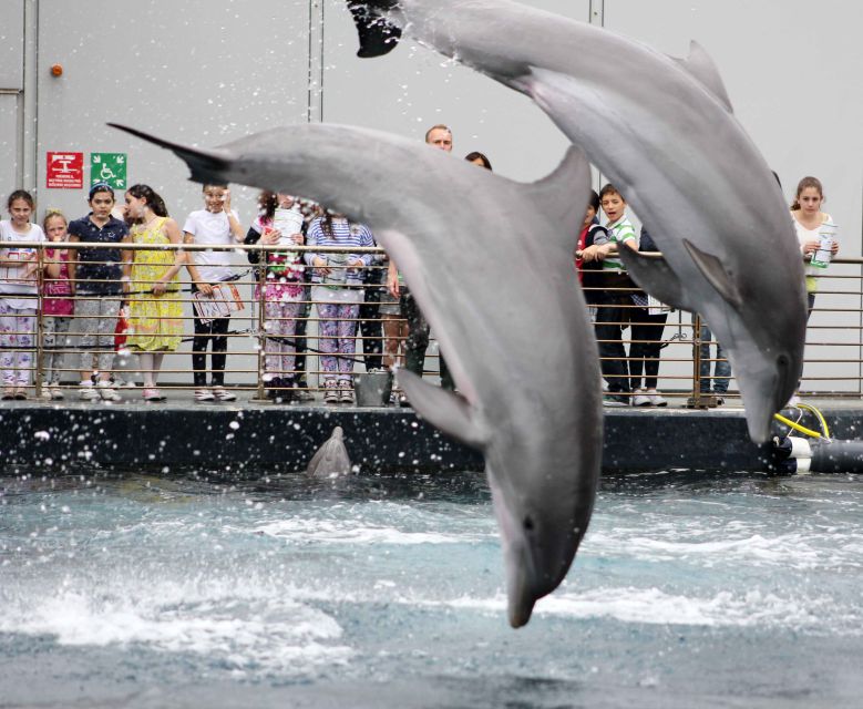 Genoa: Aquarium, Galata Museum and Submarine Entry Tickets - Price and Value: What $52 Buys You, and Why It Can Be Worth It