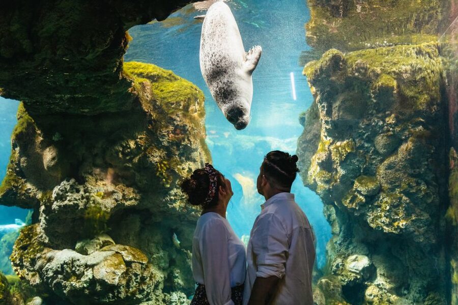 Genoa: Aquarium of Genoa Entry Ticket - Getting your bearings: signage, navigation, and avoiding the frustration loop