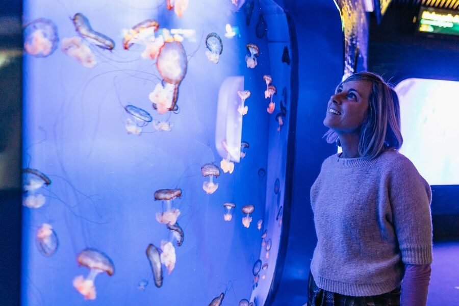 Genoa: Aquarium of Genoa with Lunch - Who This Genoa Aquarium and Lunch Plan Fits Best
