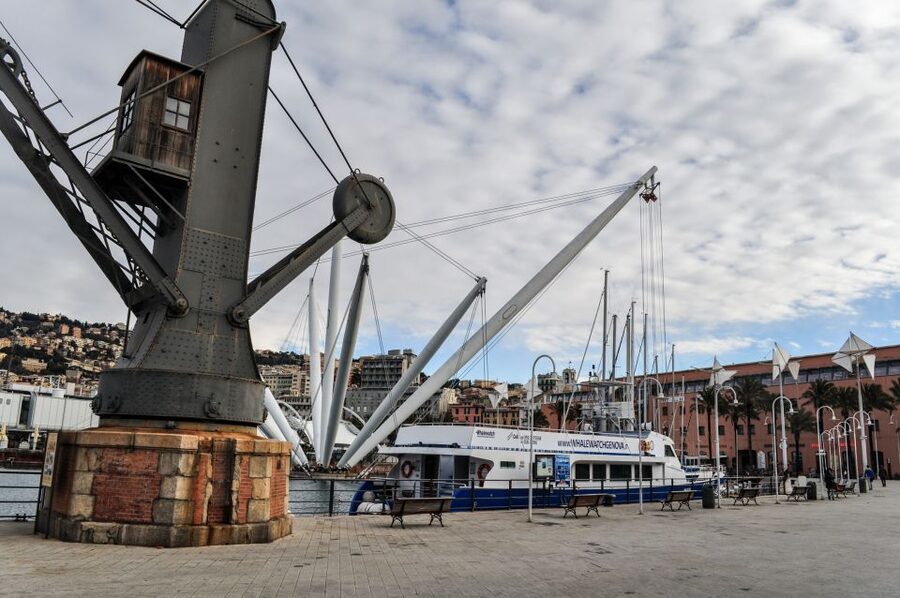 Genoa: Full-Day Tour to Camogli, San Fruttuoso & Portofino - San Fruttuoso and the Abbey: The Coast Gets Real (and So Does Swim Time)