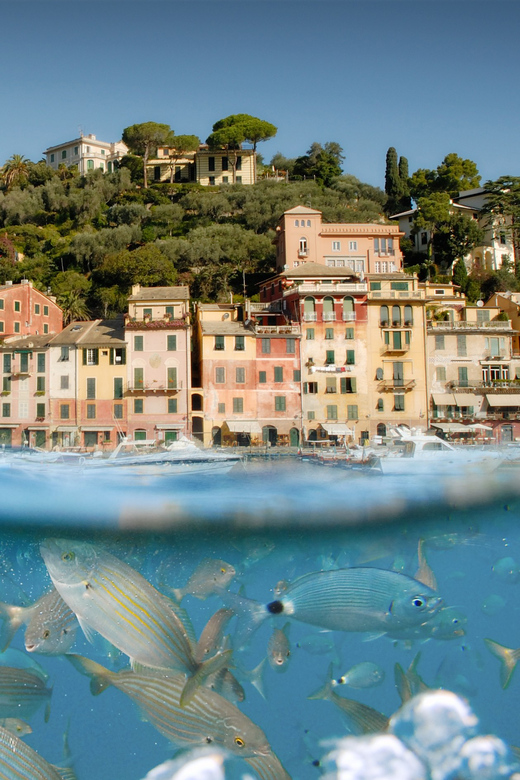 Genoa: Half-Day Tour to Portofino - Portofino at Your Pace: Square, San Giorgio Views, and a Realistic Plan