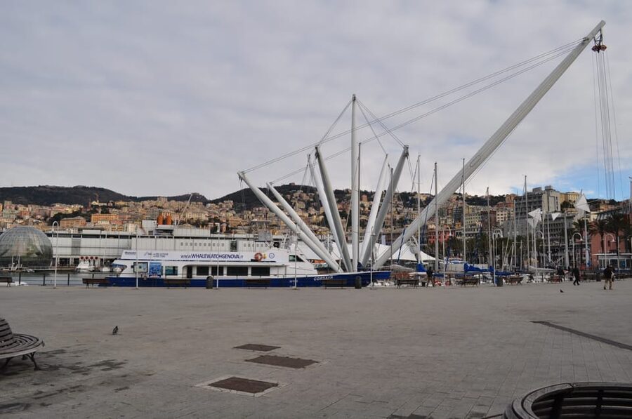 Genoa: Half-Day Tour to Portofino - The Return Ferry Reality Check: Comfort, Crowds, and Seat Strategy