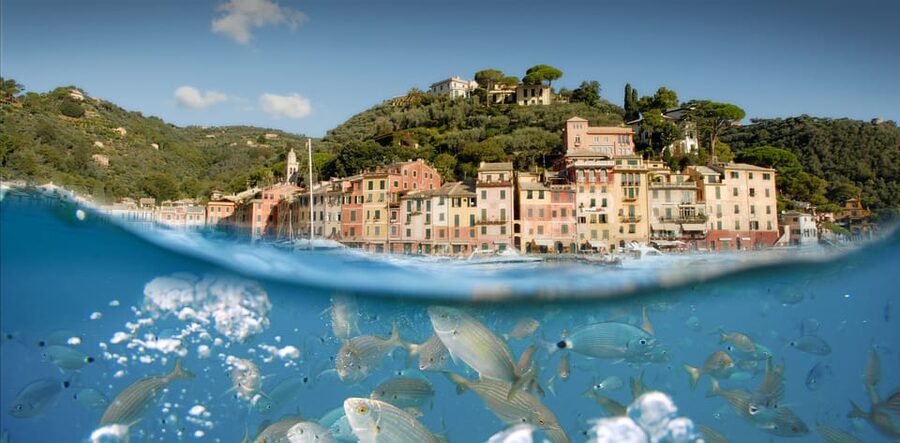 Genoa: Half-Day Tour to Portofino - Should You Book This Genoa to Portofino Ferry?