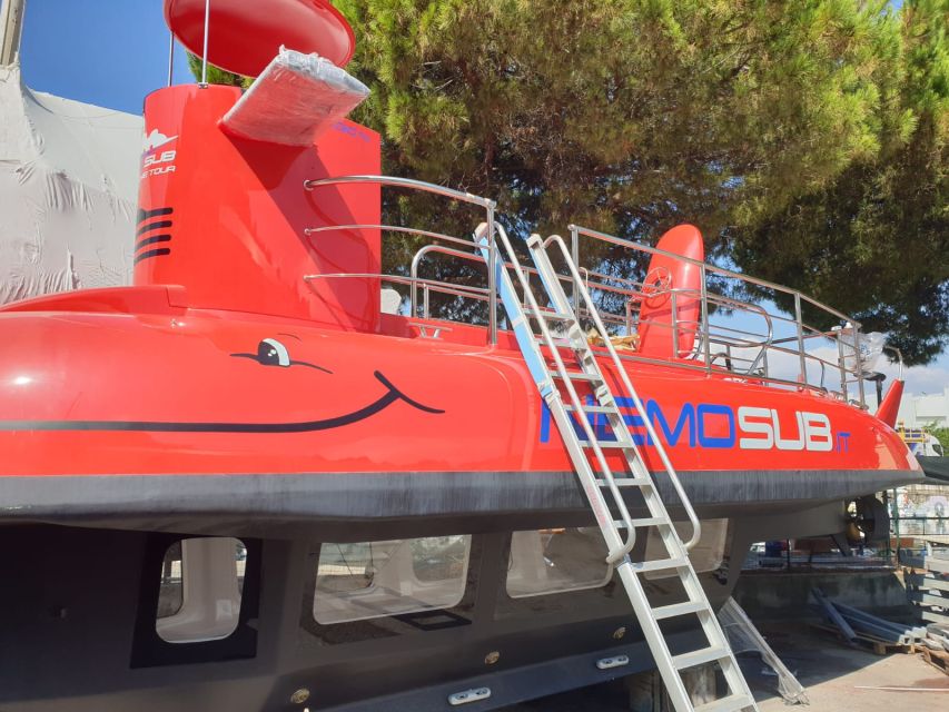 Giardini Naxos: Semi-Submarine Tour to Isola Bella - Wildlife spotting: what’s realistic, and how to make it happen