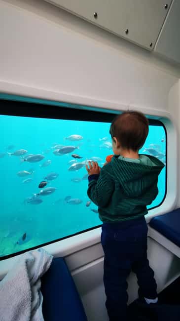 Giardini Naxos: Semi-Submarine Tour to Isola Bella - Who should book this semi-submarine to Isola Bella?