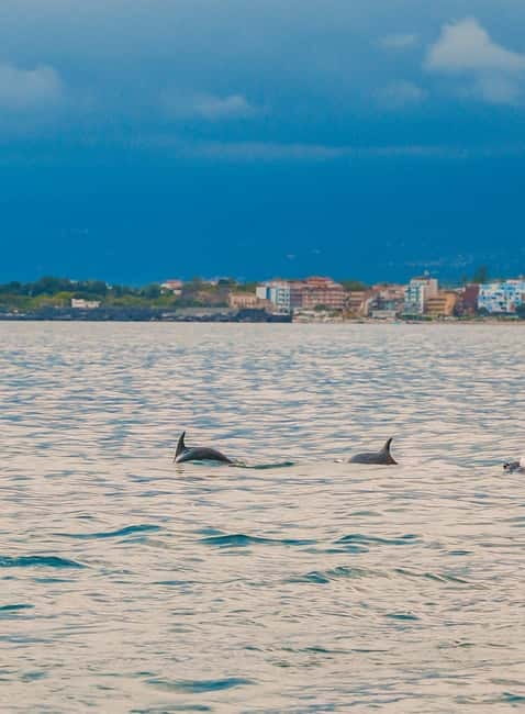 Giardini Naxos Taormina: Dolphin Watching Sunset Tour - Key highlights worth planning for